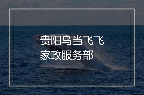 贵阳乌当飞飞家政服务部