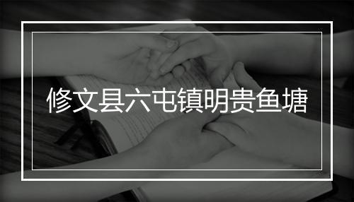 修文县六屯镇明贵鱼塘