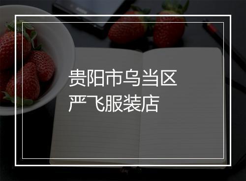 贵阳市乌当区严飞服装店