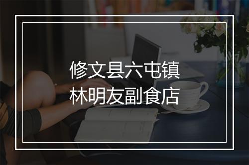 修文县六屯镇林明友副食店