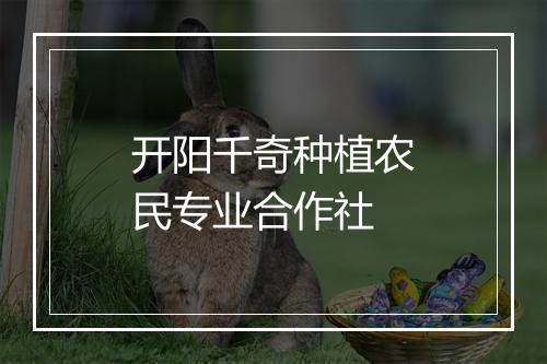 开阳千奇种植农民专业合作社