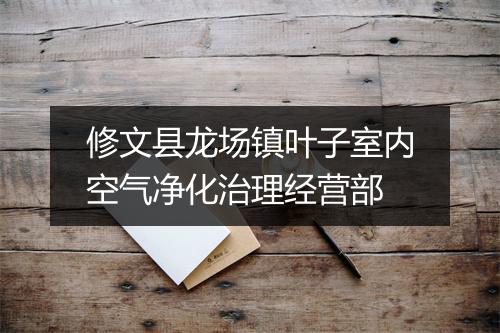 修文县龙场镇叶子室内空气净化治理经营部