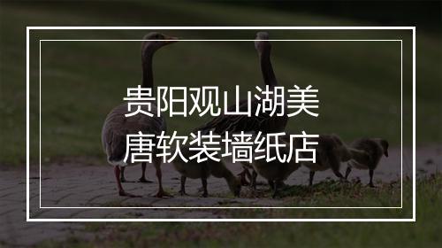 贵阳观山湖美唐软装墙纸店