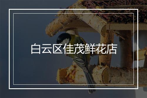 白云区佳茂鲜花店
