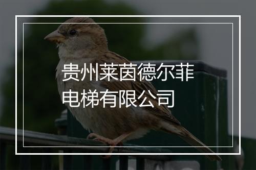 贵州莱茵德尔菲电梯有限公司