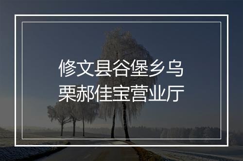 修文县谷堡乡乌栗郝佳宝营业厅