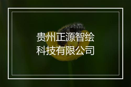 贵州正源智绘科技有限公司