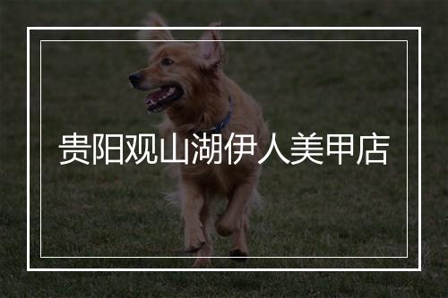 贵阳观山湖伊人美甲店