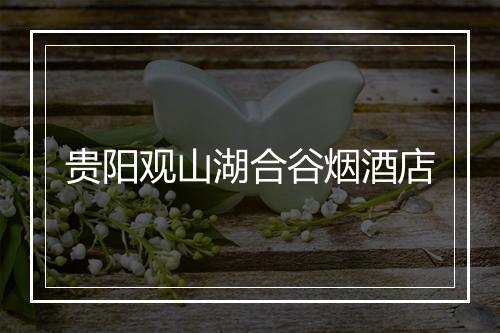 贵阳观山湖合谷烟酒店