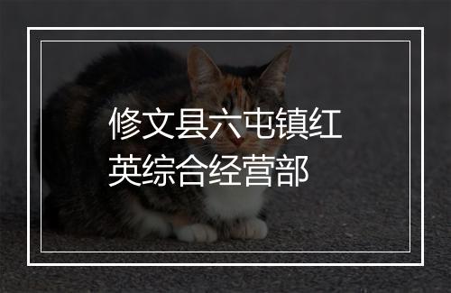 修文县六屯镇红英综合经营部