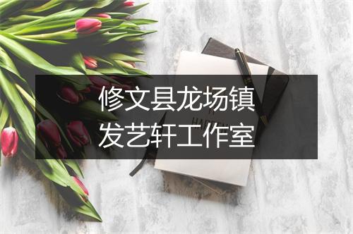 修文县龙场镇发艺轩工作室