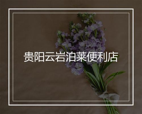 贵阳云岩泊莱便利店