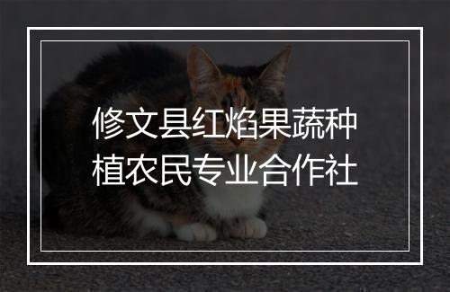 修文县红焰果蔬种植农民专业合作社