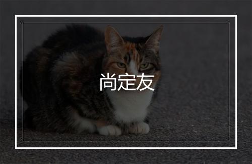 尚定友