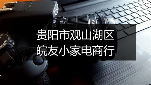 贵阳市观山湖区皖友小家电商行