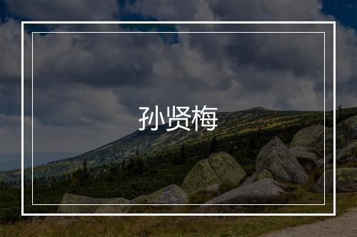 孙贤梅