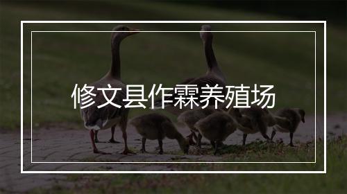 修文县作霖养殖场