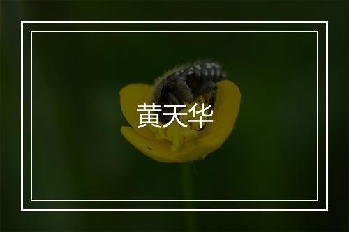 黄天华