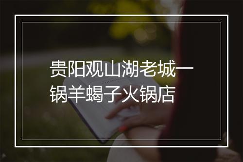 贵阳观山湖老城一锅羊蝎子火锅店