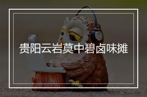 贵阳云岩莫中碧卤味摊