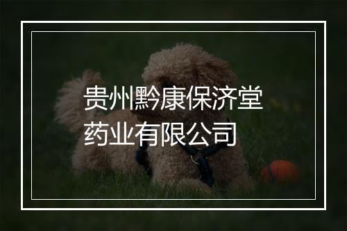 贵州黔康保济堂药业有限公司