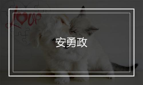 安勇政