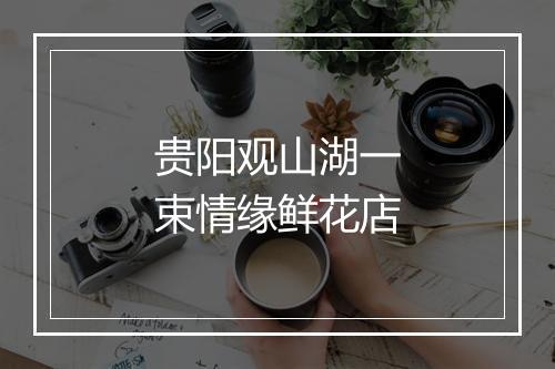 贵阳观山湖一束情缘鲜花店