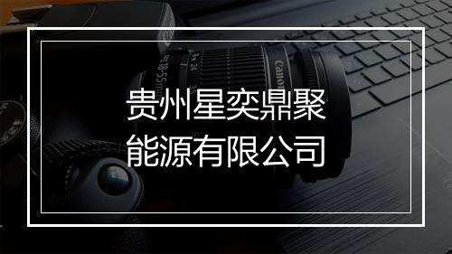 贵州星奕鼎聚能源有限公司