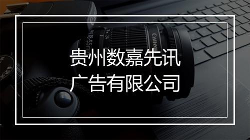 贵州数嘉先讯广告有限公司