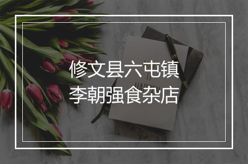 修文县六屯镇李朝强食杂店