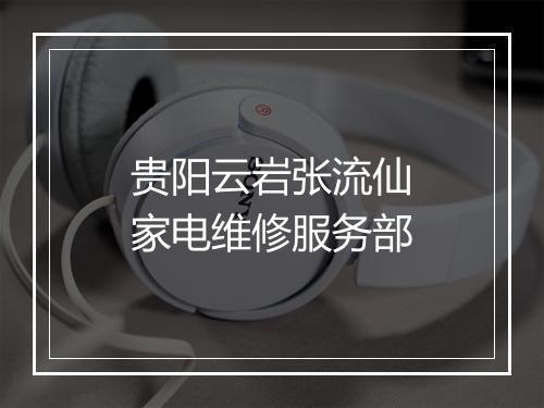 贵阳云岩张流仙家电维修服务部