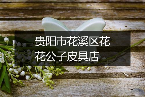 贵阳市花溪区花花公子皮具店