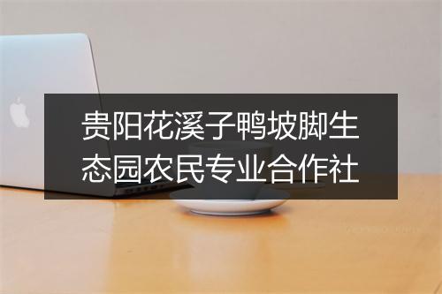 贵阳花溪子鸭坡脚生态园农民专业合作社