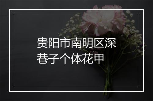 贵阳市南明区深巷子个体花甲