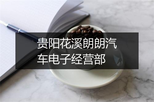 贵阳花溪朗朗汽车电子经营部