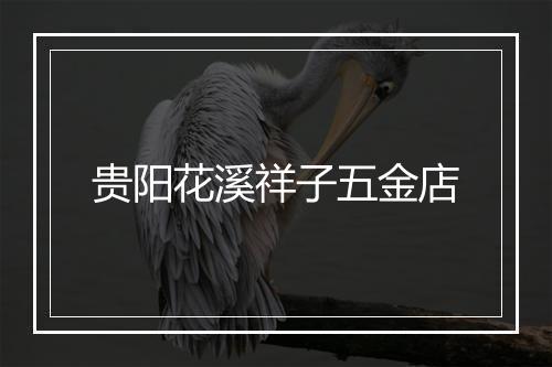 贵阳花溪祥子五金店