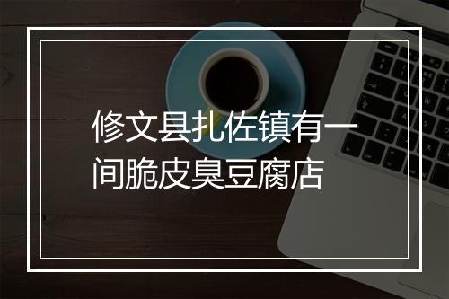修文县扎佐镇有一间脆皮臭豆腐店