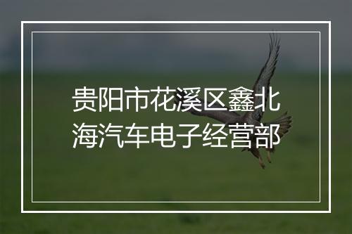 贵阳市花溪区鑫北海汽车电子经营部