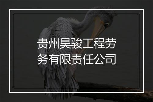 贵州昊骏工程劳务有限责任公司
