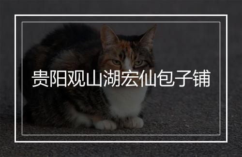贵阳观山湖宏仙包子铺