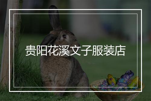 贵阳花溪文子服装店