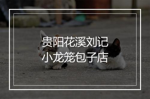 贵阳花溪刘记小龙笼包子店