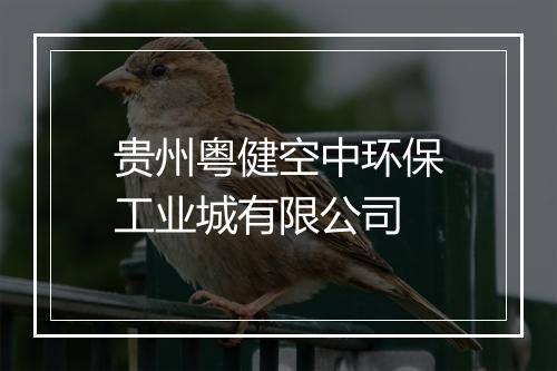 贵州粤健空中环保工业城有限公司