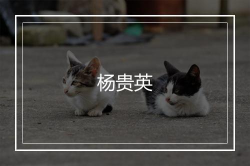 杨贵英