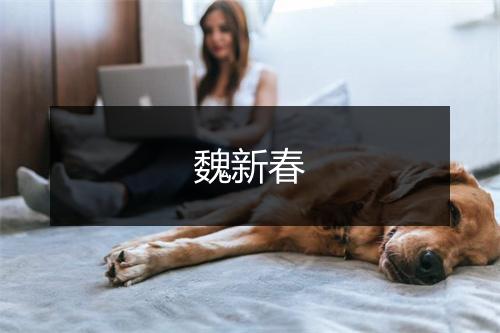 魏新春