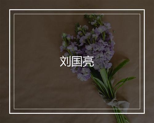 刘国亮