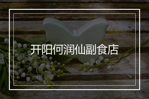 开阳何润仙副食店