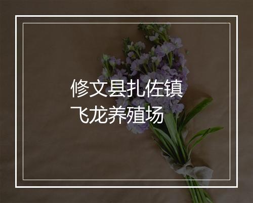 修文县扎佐镇飞龙养殖场