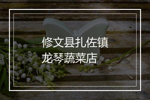 修文县扎佐镇龙琴蔬菜店