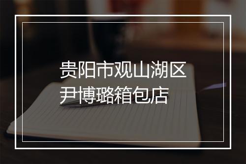 贵阳市观山湖区尹博璐箱包店